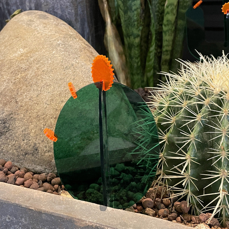 ミニマルクリスタル サボテン