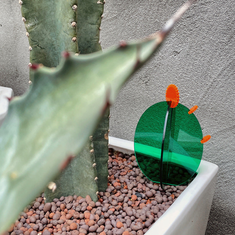 ミニマルクリスタル サボテン